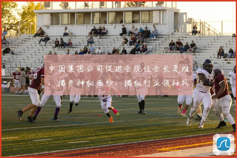 中国集团公司促进会现任会长是谁，揭开神秘面纱，揭秘行业领袖风采