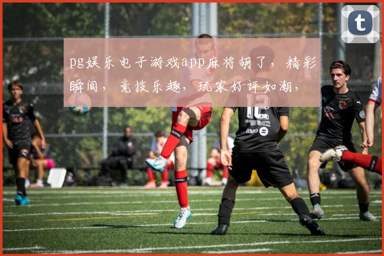 pg娱乐电子游戏app麻将胡了，精彩瞬间，竞技乐趣，玩家好评如潮，体验非凡