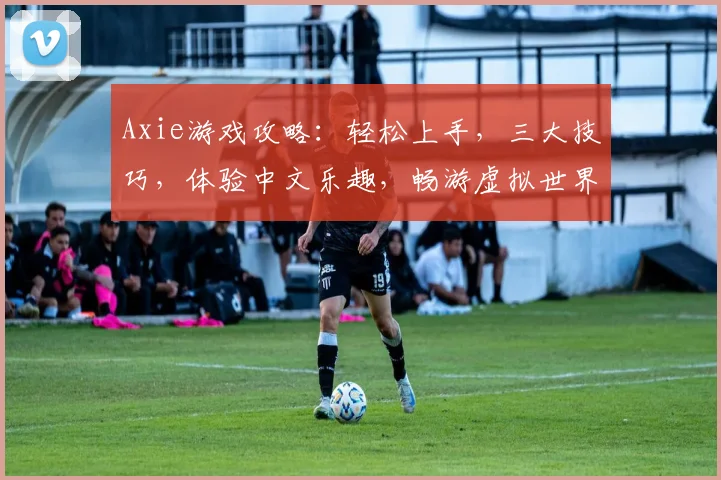 Axie游戏攻略：轻松上手，三大技巧，体验中文乐趣，畅游虚拟世界