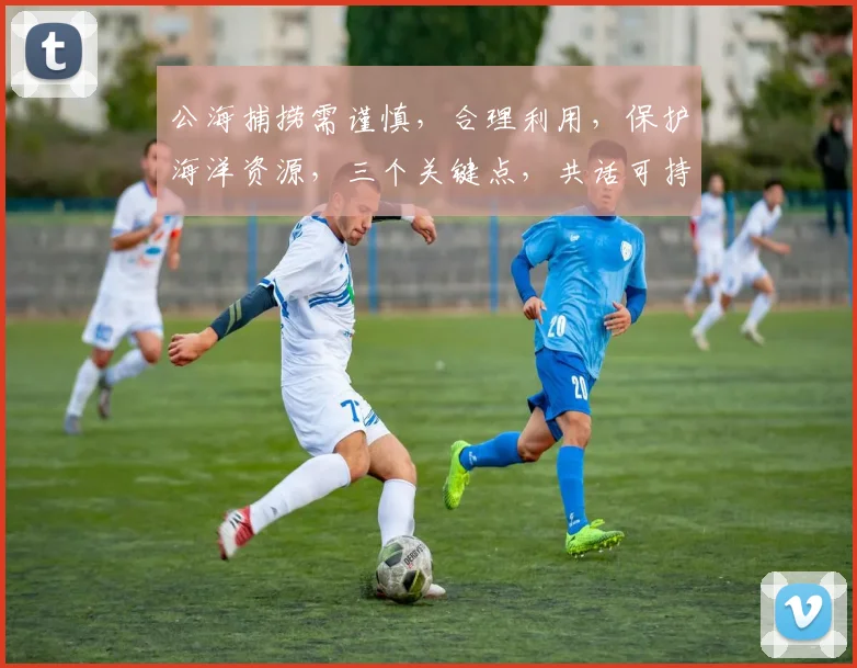公海捕捞需谨慎，合理利用，保护海洋资源，三个关键点，共话可持续发展。